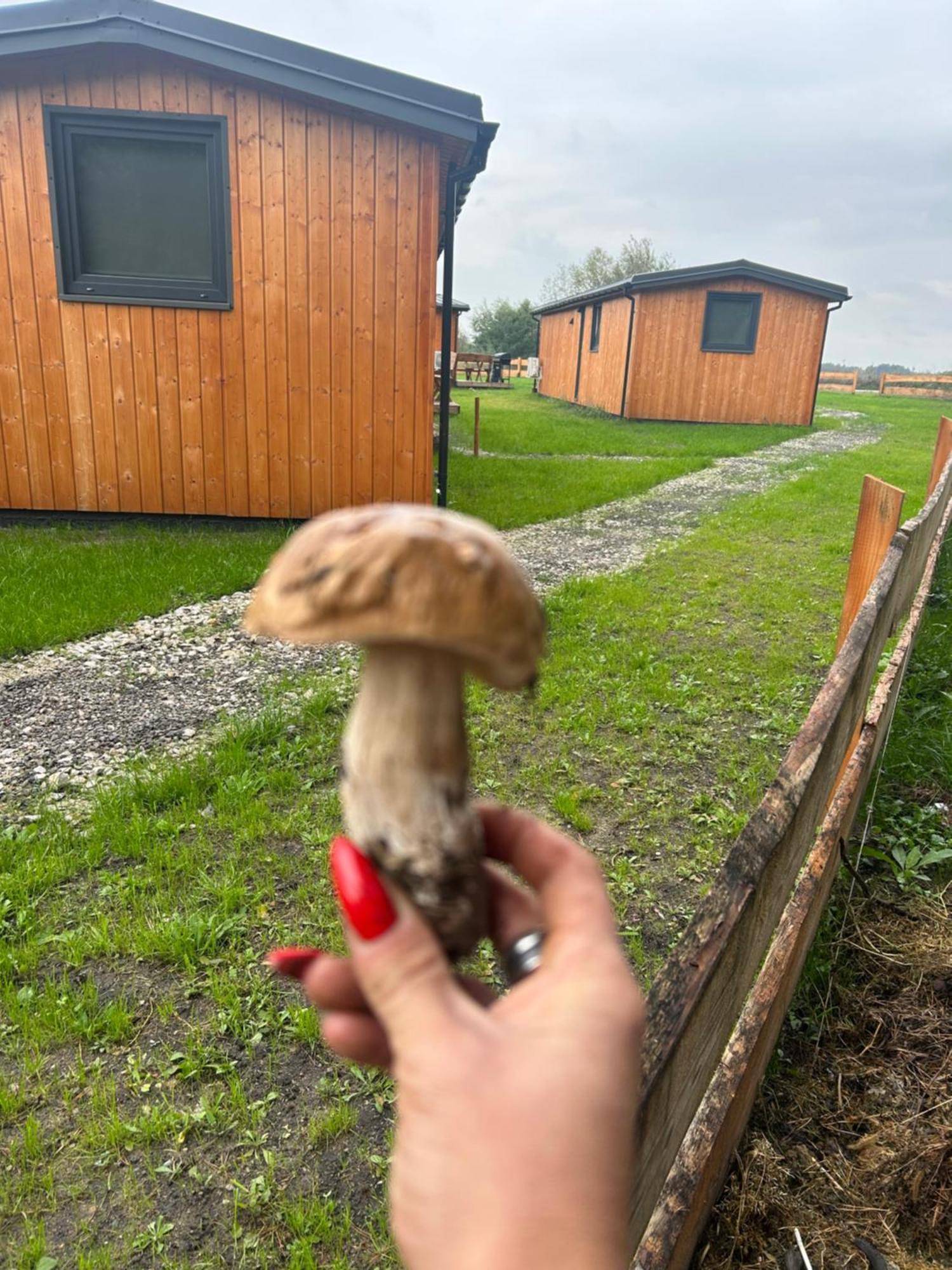 Hotel Zacisze Obok Suntago Park Grabce-Towarzystwo Esterno foto
